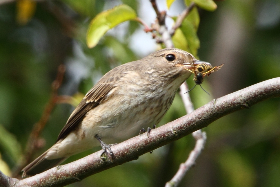 Latest Sightings